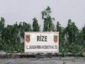 Rize'de Jandarmadan Hint Keneviri Operasyonu