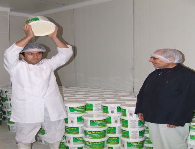 FATIH KıZıLTOPRAK - Gölova Çalkaya Süt Fabrikası Hizmete Açıldı