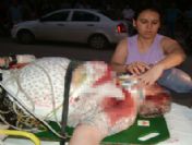 Yaşlı Kadını Kurtarma Çabaları Sonuç Vermedi