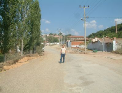 KENAN ÇOBAN - Burhaniye Pelitköy'de Kavak Ağaçları Kesilmesin