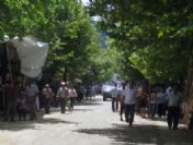 Gölcük'te Bereketli Pazar