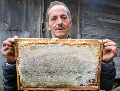 BALLıCA - Kürtün'de Yılın İlk Balı Piyasaya Çıktı