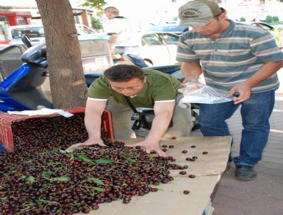 1.5 Ton Kirazı Halka Dağıttı