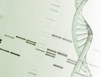 GEORGIA - 'Şans' geni bulundu