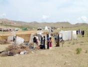 Yozgat İl Özel İdaredesi Mevsimlik Gezici Tarım İşçileri İçin Proje Hazırladı