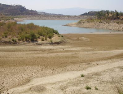 250 Milyon İnsan Çölleşme Tehdidi Altında