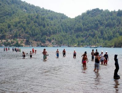 Denizin Üzerinde Yürüyüp Deveye Biniyorlar