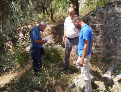 Kadıköy'e Doyamadım' Suyu
