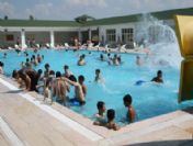 Sıcaktan Bunalan Kendini Termal Havuza Atıyor