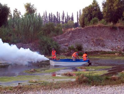 Sinekle Vektörel Mücadele Sürüyor