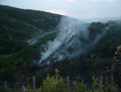 Türkali Köyü'nde Yangın