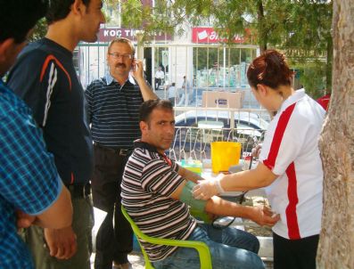 HEPATIT C - Varto'da Kan Bağışı
