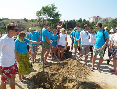 KEMAL NAZLı - Gelibolu'da Festival Fidanları Dikildi