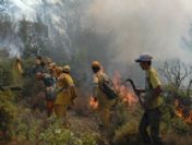 Milas'ta 7 Ayda 55 Yangın