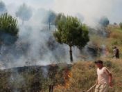 Muğla'da Orman Yangını