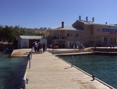 İlk Defa Yüzme Öğreniyorlar