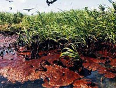 BP, petrol felaketi için 32,2 milyar $ ayırdı