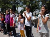 Çocuk Meclisi Yaz Kursları Öğrencileri Piknikte Buluştu
