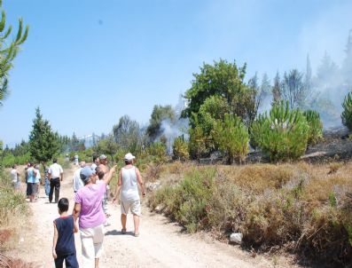 Didim'de Orman Yangını