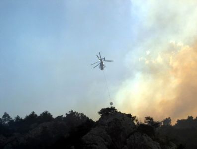 Bilecik'te Orman Yangını Büyüyor