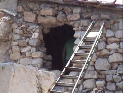 ZEUS - Büyük İskender'in kayıp lahdi Milas'ta