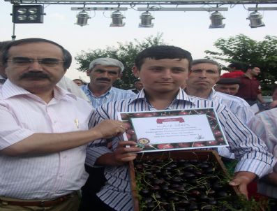 ALİ UZUNIRMAK - 9. Yukarı Kayacık Kiraz Festivali