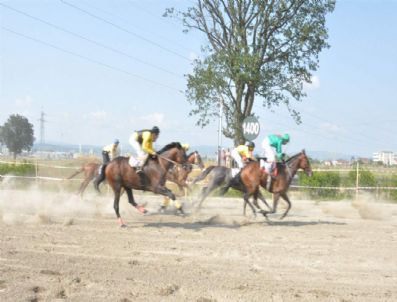 Kartepe'de Atlar Kupaya Koştu