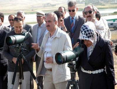 HALIL BERK - Erçek Gölü'nde Flamingo Güzelliği