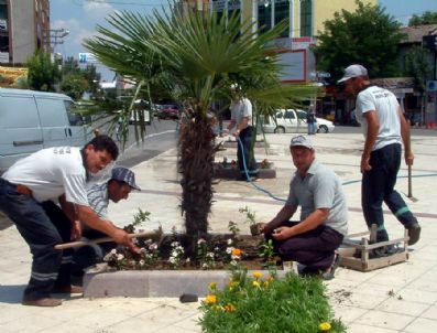 FIKRET AKOVA - Burhaniye Çiçek Açtı