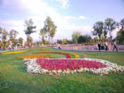 Büyükşehir Belediyesi Şehri Çiçeklerle Donattı