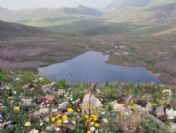 Çakırgöl Kayak Ve Turizm Merkezi'nin Yol Sorunu