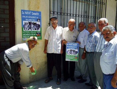 ÇEVRE VE TÜKETICI HAKLARıNı KORUMA DERNEĞI - Çevreciler, Evcil Hayvanlar İçin Afişli Çalışma Başlattı
