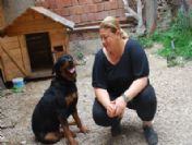 Kayıp Köpek 3 Ay Sonra Kapıyı Çalınca Sahibi Şok Oldu