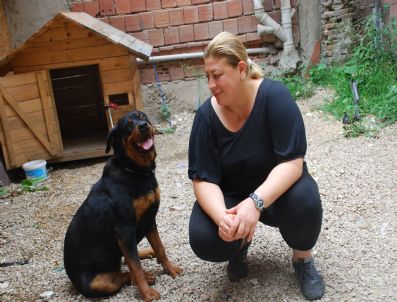 Kayıp Köpek 3 Ay Sonra Kapıyı Çalınca Sahibi Şok Oldu