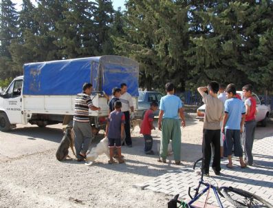 MEHMET ABDI BULUT - Köpek Getir, 10 Tl'yı Götür