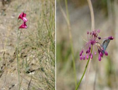 Tuz Gölü dünya için önemli ve özel bir yer