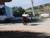 Belediye Başkanı İşe Atla Gelip Gidiyor