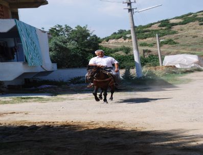 NIHAT AKTAKKA - Belediye Başkanı İşe Atla Gelip Gidiyor