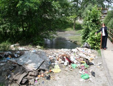 OYA ARAPOĞLU - Şehir Plancıları Odasından Sapanca Gölü'ne Dolgu Yapılmasına Tepki