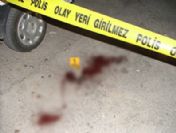 Genç kız babasını döven 3 kişiyi öldürdü