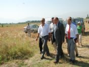 Şeftali Ve Nektarin Hasadı Başladı