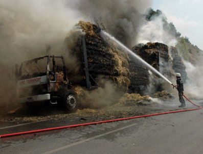 Sigara izmariti TIR'ı kül etti