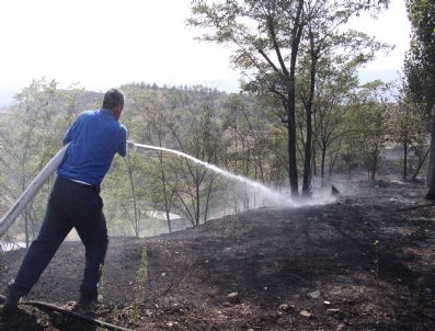 Karabük'te Ot Yangını