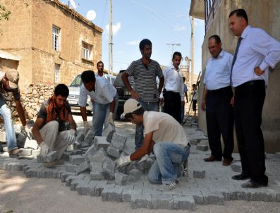 FEHMI ALAYDıN - Belediyeden Yol Çalışmaları