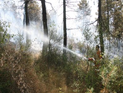 Düzce'de Ormanlık Alanda Yangın