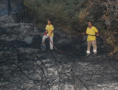 FARUK USLU - Turgutlu'da Orman Yangını