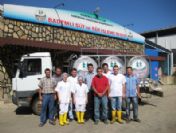 4 Bin Nüfuslu Bademli'nin Kooperatif Başarısı