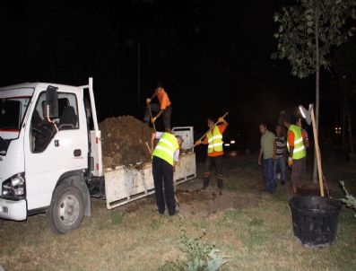 TURHAN TOPÇUOĞLU - Kastamonu'da İşçilerin Gece Mesaisi