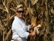 Mısırda İyi Fiyat Beklentisi