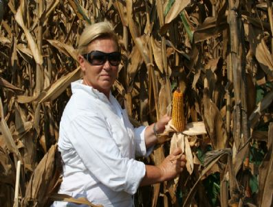 Mısırda İyi Fiyat Beklentisi